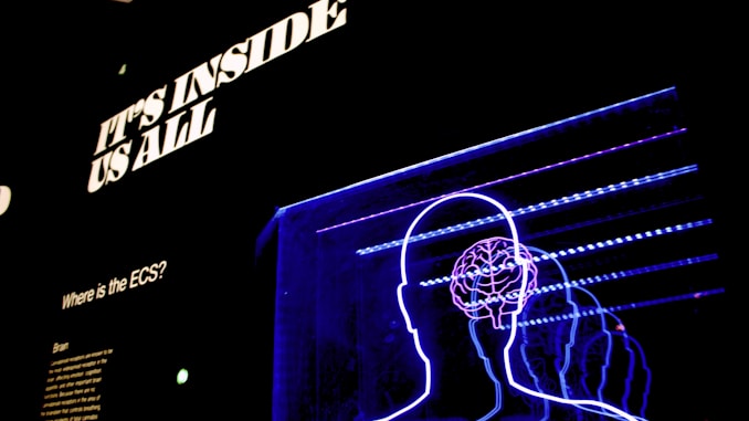 a neon display of a man's head and brain