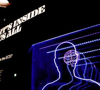 a neon display of a man's head and brain