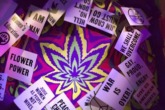 A psychedelic background with vibrant colors frames a series of protest signs. The signs display messages advocating for social justice and rights, such as 'Women's Liberation', 'Flower Power', 'War is Over!', and 'We Shall Overcome'. A large cannabis leaf is prominently centered in the composition.