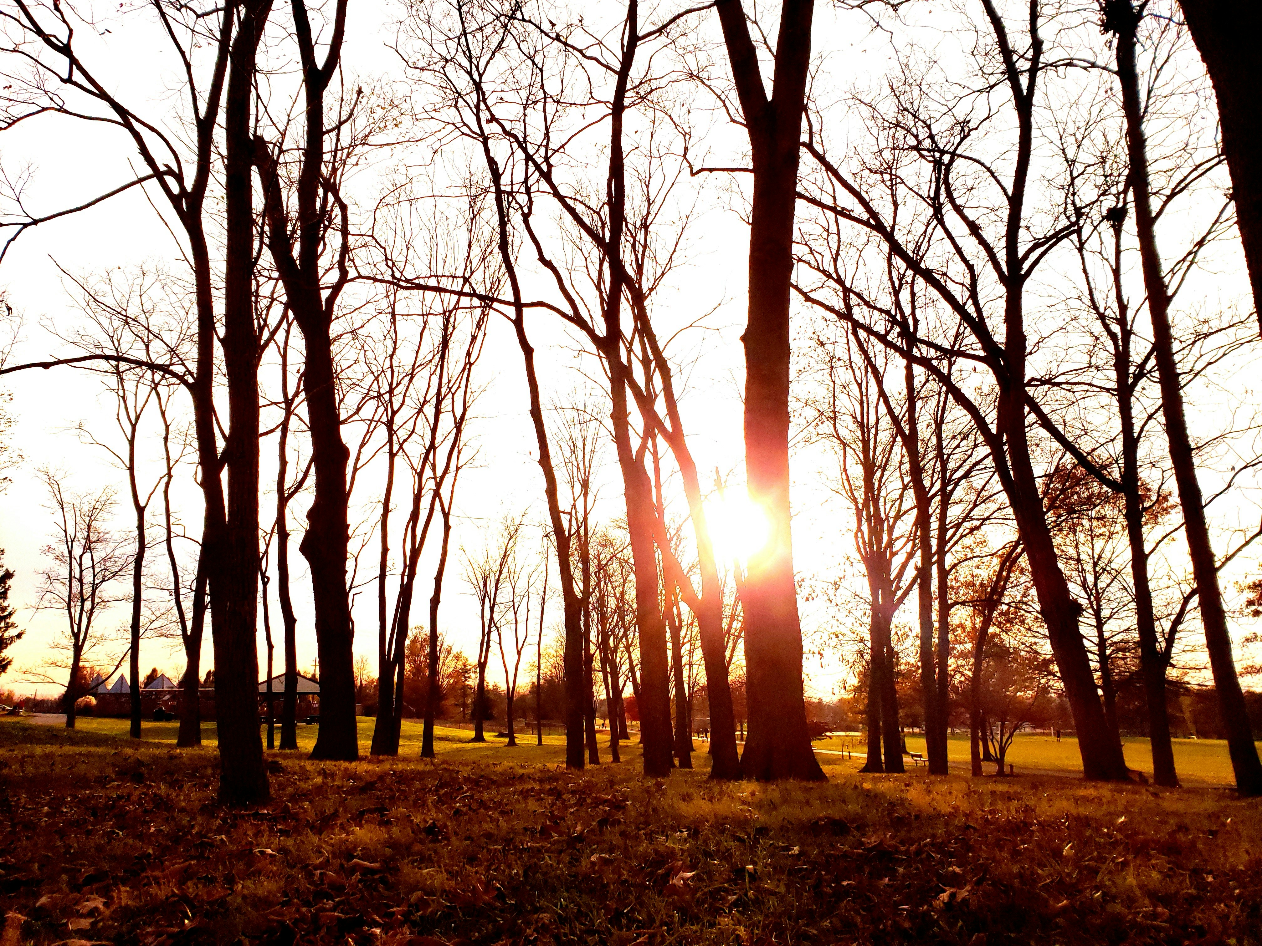 Photo by ghuffmanphotography