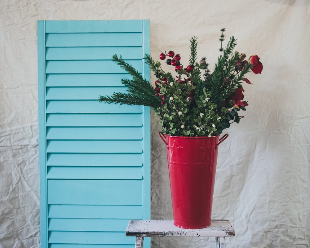 red and white roses