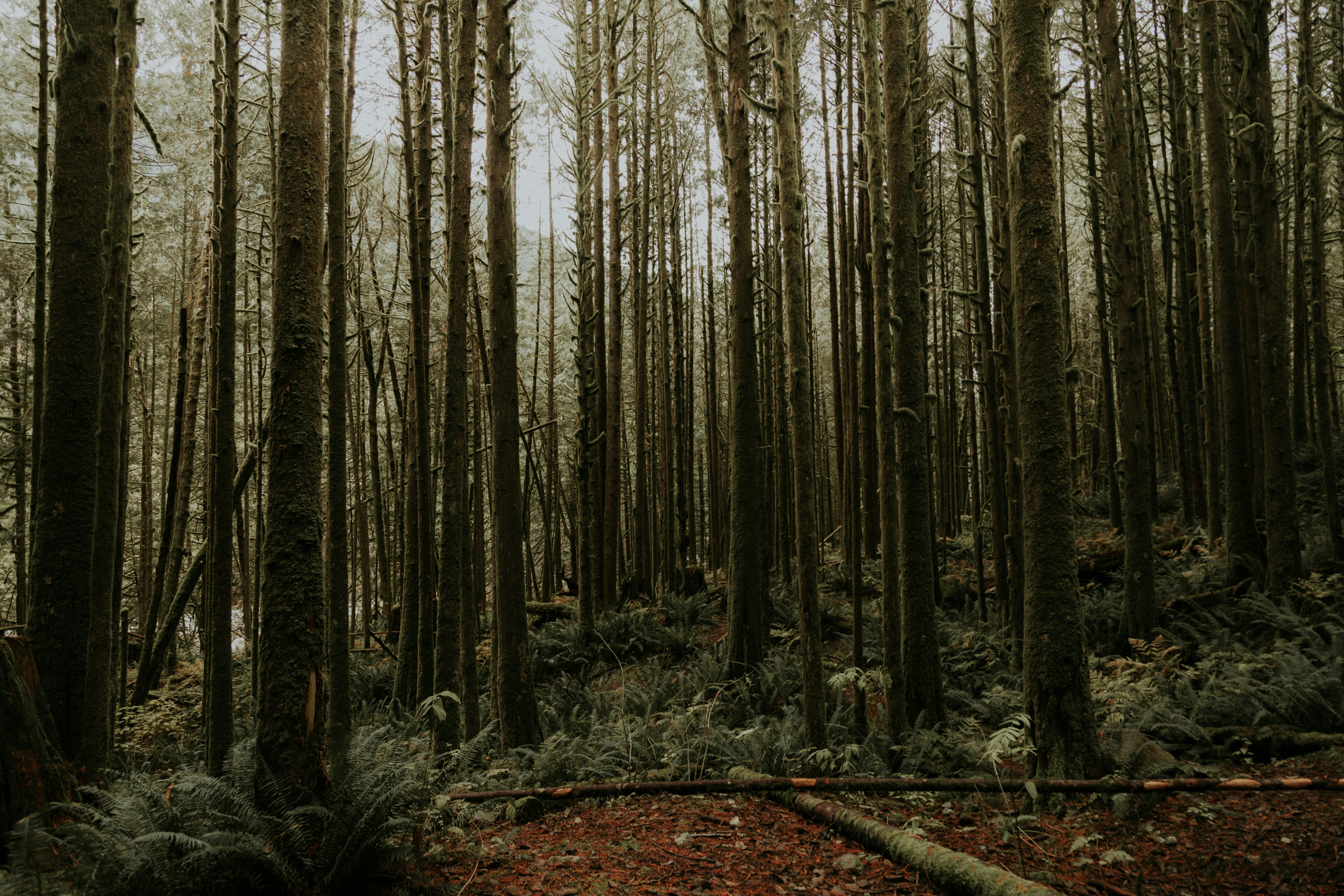 Photo by priscilladupreez