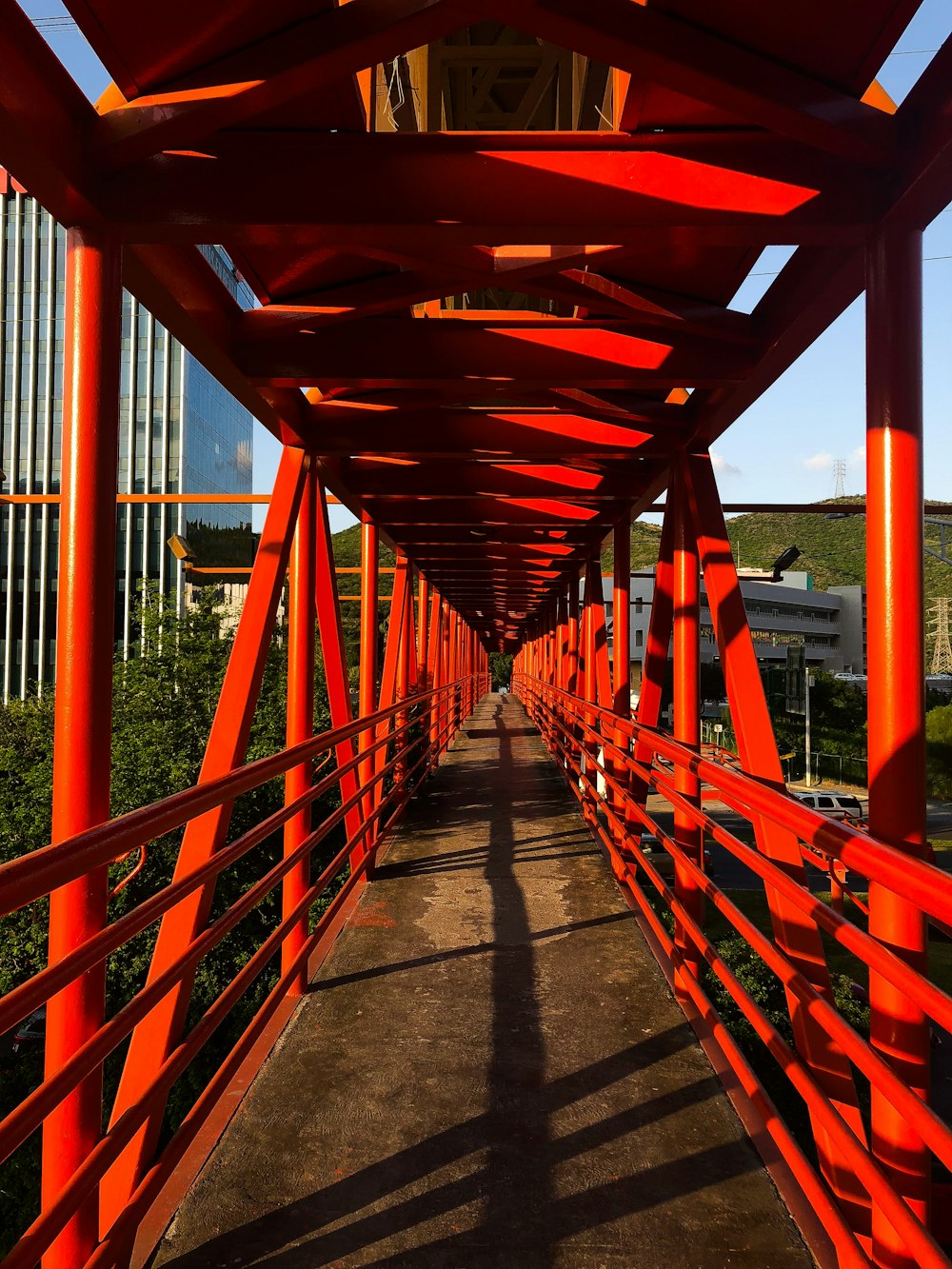 red and brown bridge