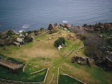 A coastal landscape features a grassy area bordered by rocks and shrubs, overlooking a body of water. A white bird is seen flying near the ground, adding a dynamic element to the scene. Pathways divide the greenery, and there's a wooden structure located at the edge of the grassy area.