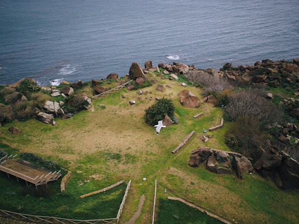 A coastal landscape features a grassy area bordered by rocks and shrubs, overlooking a body of water. A white bird is seen flying near the ground, adding a dynamic element to the scene. Pathways divide the greenery, and there's a wooden structure located at the edge of the grassy area.