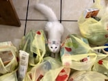 A high-quality image of various cat litter products.