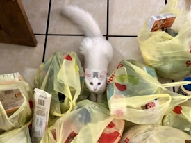 A white cat is surrounded by several yellow plastic grocery bags scattered on a tiled floor. Various food items are partially visible within the bags, including boxes and jars. The cat looks up at the camera with a curious expression.