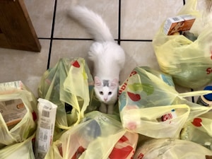 Clean Clump Litter