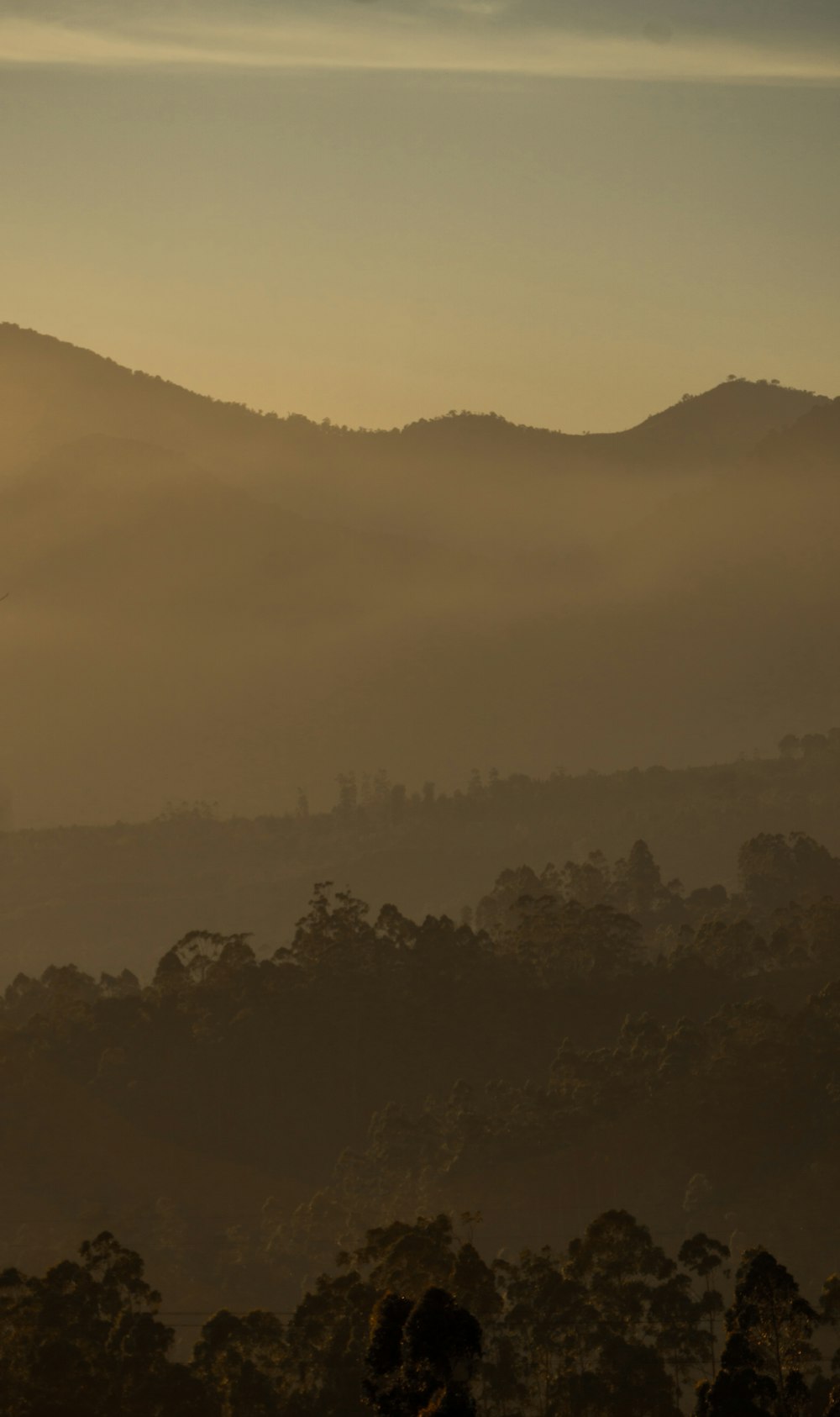 silhouette of hills and trees