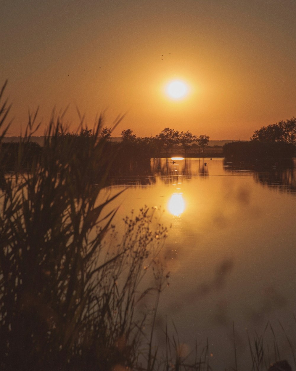 calm body of water during sunset