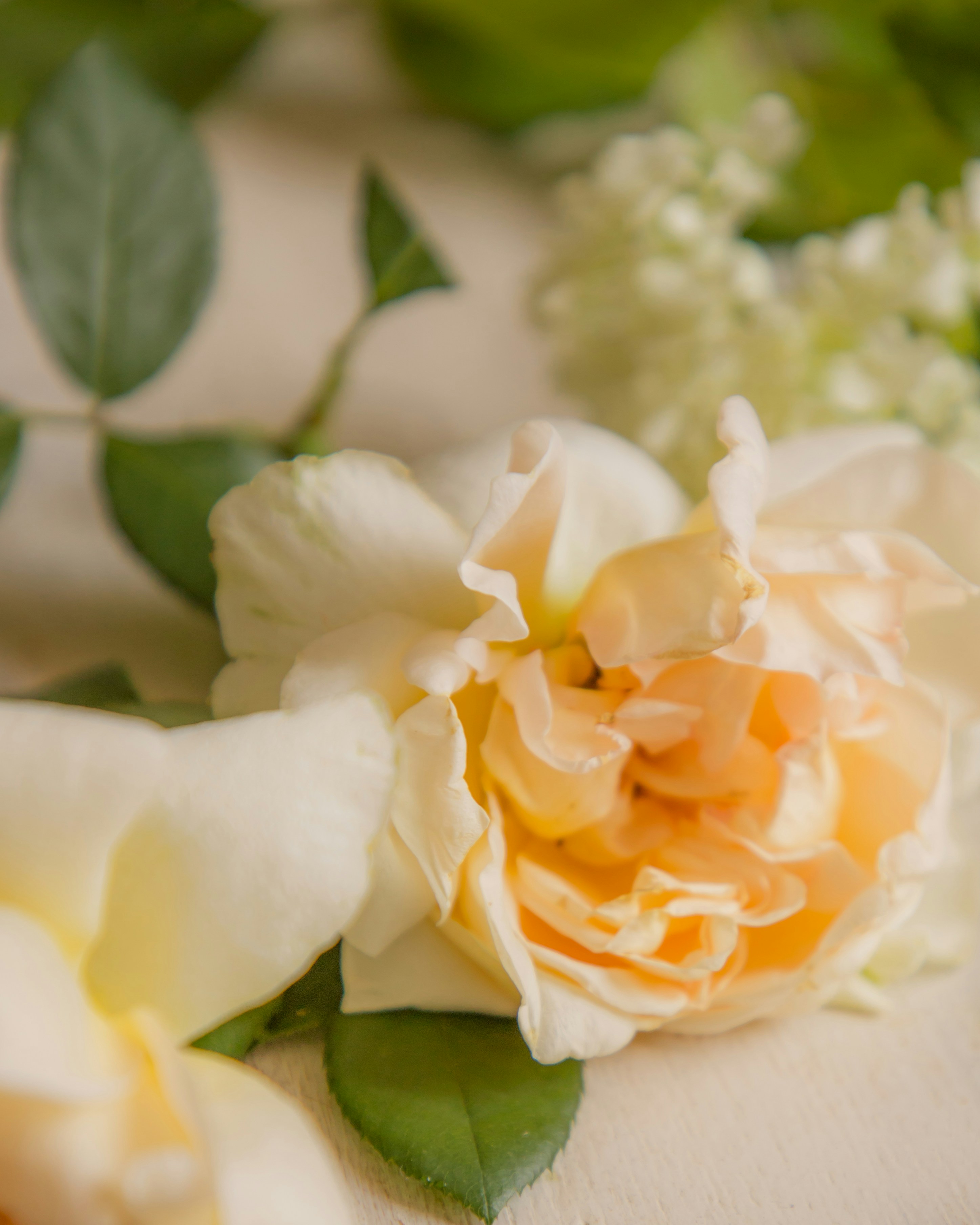 Photo by jovanvasiljevic