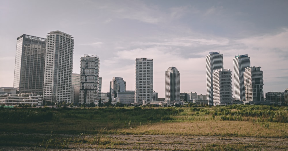 city high-rise buildings beside grass field