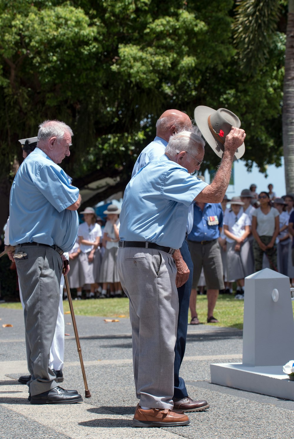 people standing near trees during day