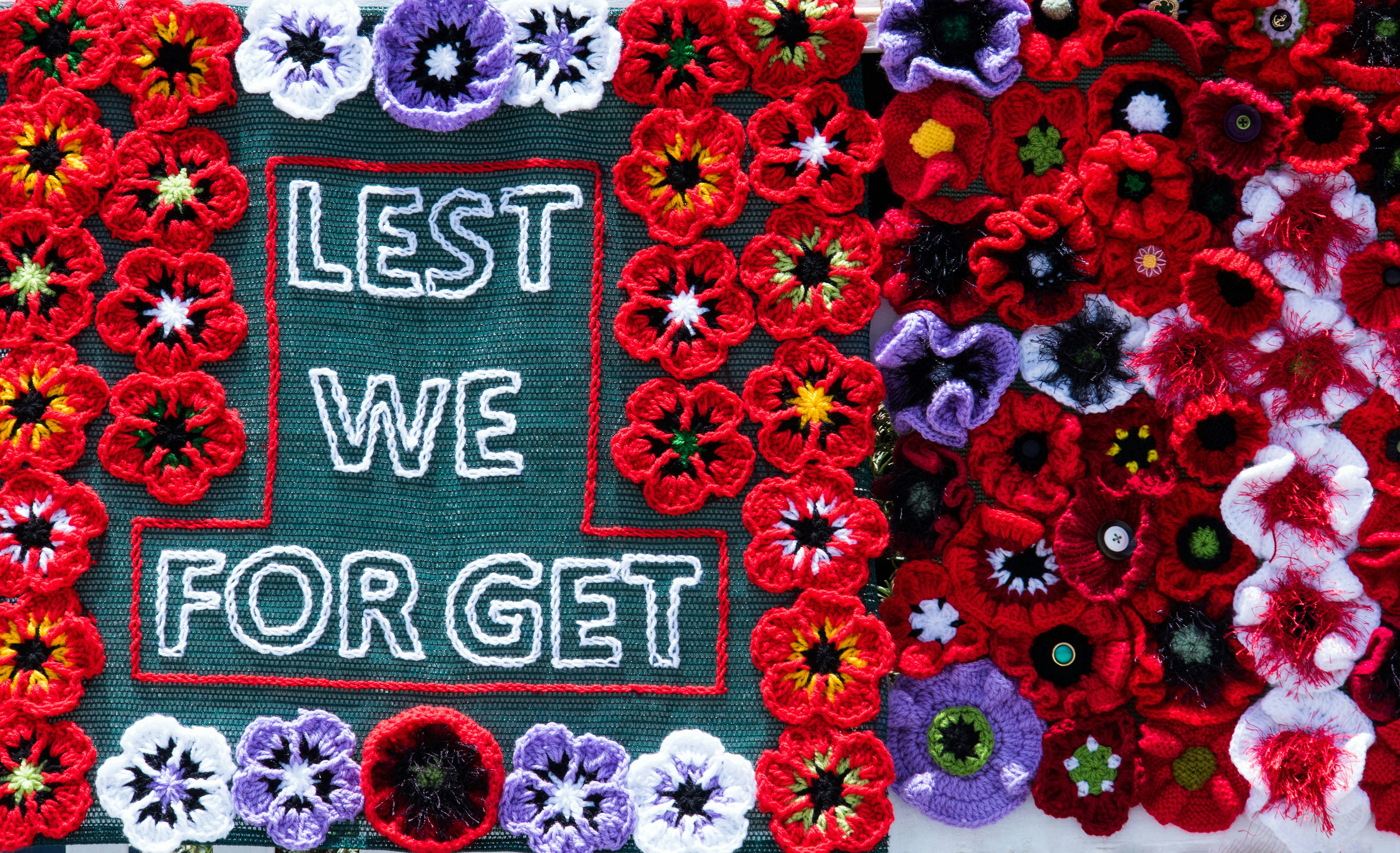 red, white, and purple poppies