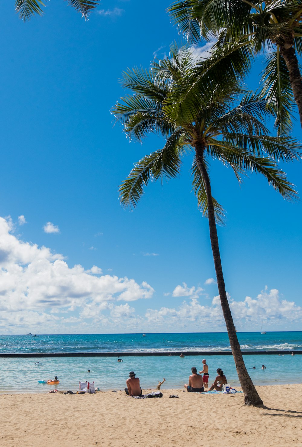 people at beach