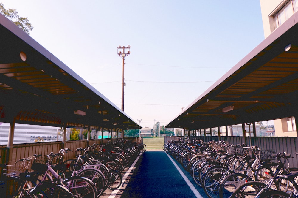 una fila di biciclette parcheggiate una accanto all'altra