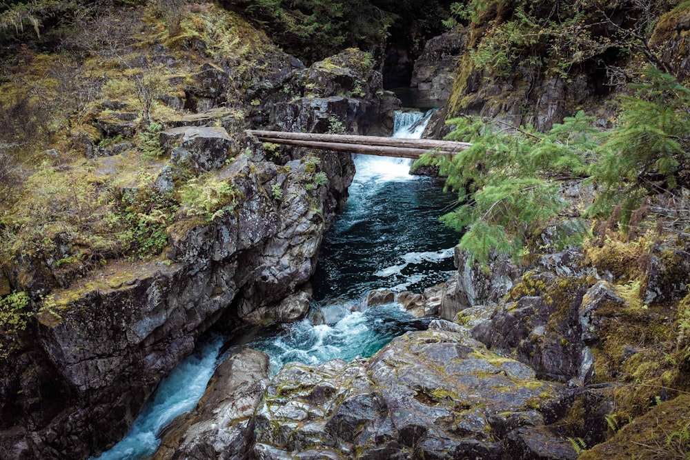 bridge on river