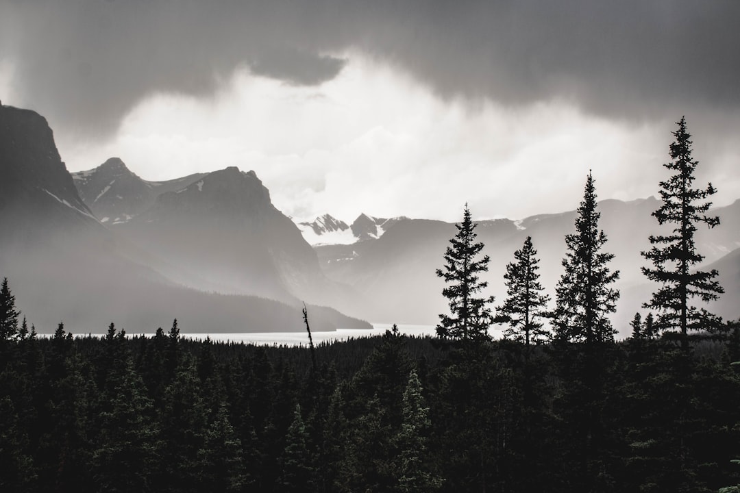 Travel Tips and Stories of Peyto Lake in Canada