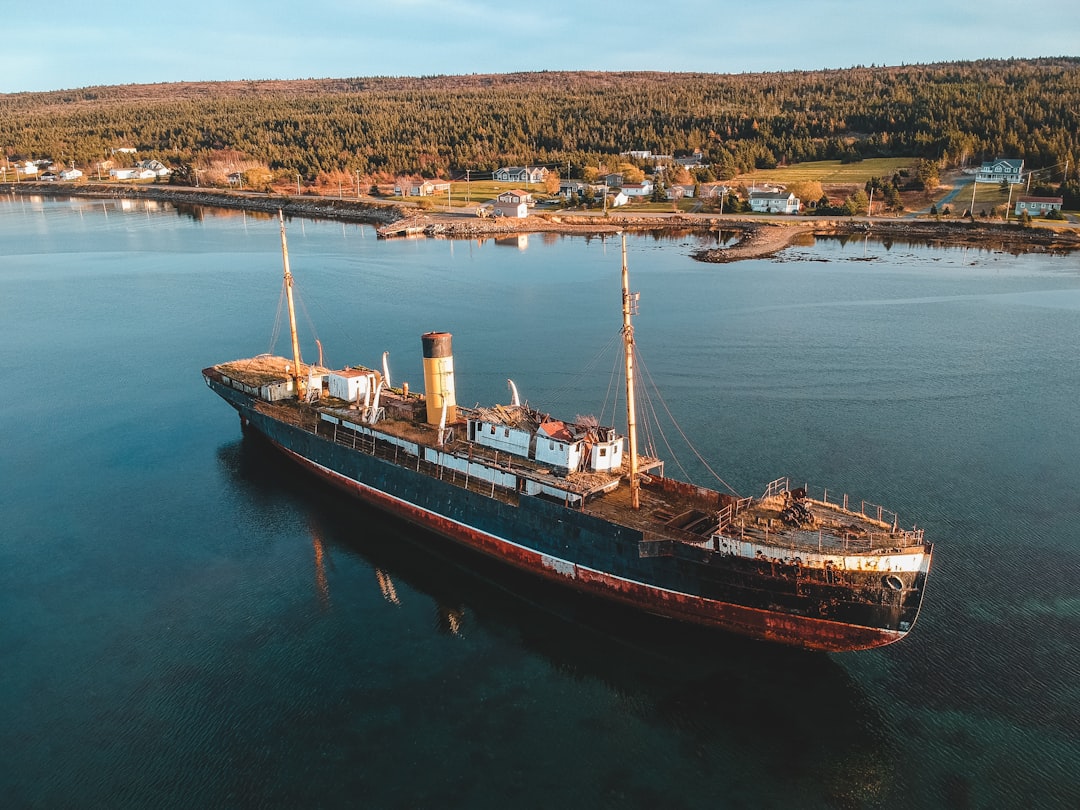 blue and brown passenger ship on water