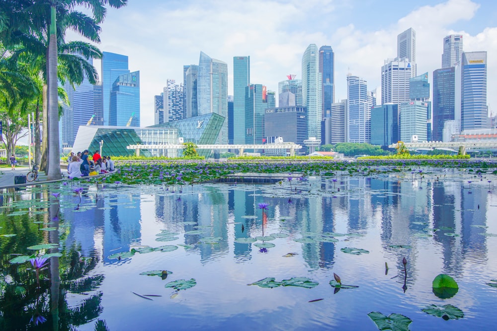 100 singapore pictures download free images on unsplash