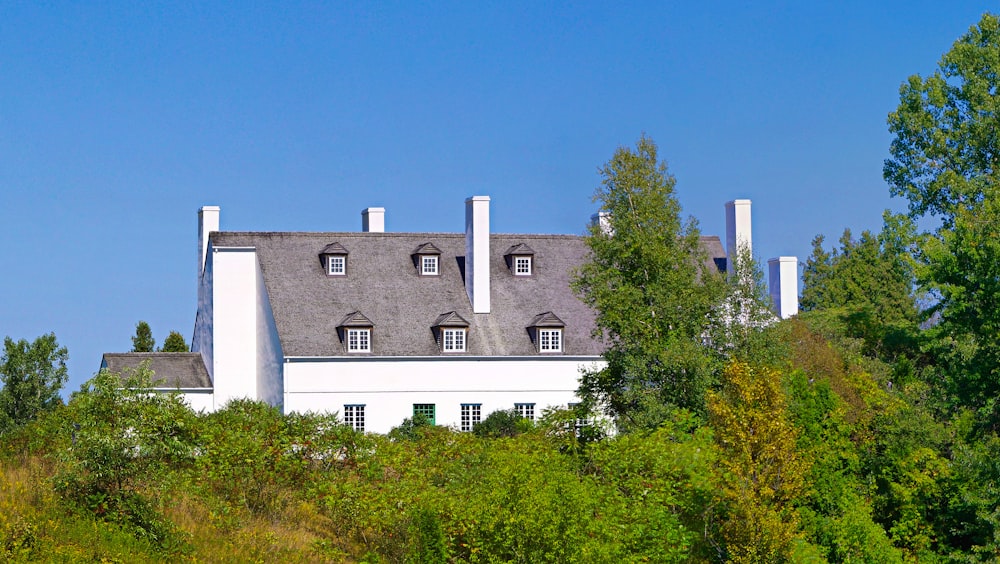 white and gray house near trees under blue sky