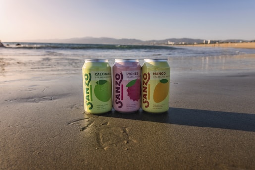 Three cans of Sanzo sparkling water are positioned on the wet sand of a beach with a calm ocean in the background. The scene includes distant mountains and city buildings under a clear blue sky, creating a serene coastal setting.