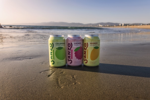Three cans of Sanzo sparkling water are positioned on the wet sand of a beach with a calm ocean in the background. The scene includes distant mountains and city buildings under a clear blue sky, creating a serene coastal setting.