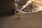 A can of Sanzo mango-flavored sparkling water sits on a sandy beach near the edge of the ocean. Gentle waves approach, capturing the golden light of a setting or rising sun, while a barnacle-covered pillar stands nearby.