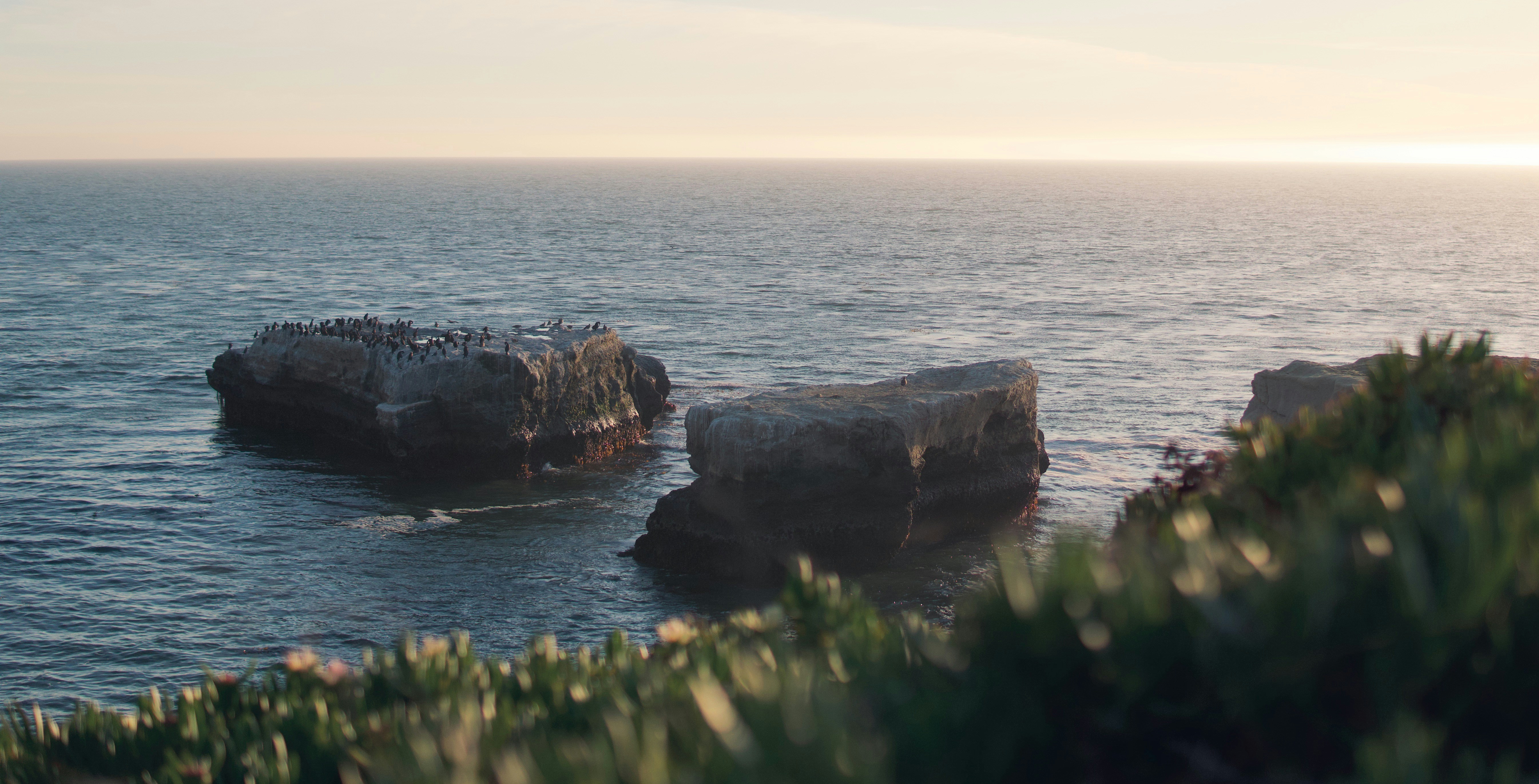 Photo by forestkatsch