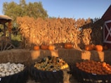 A rustic porch decorated with hay bales and seasonal gourds.