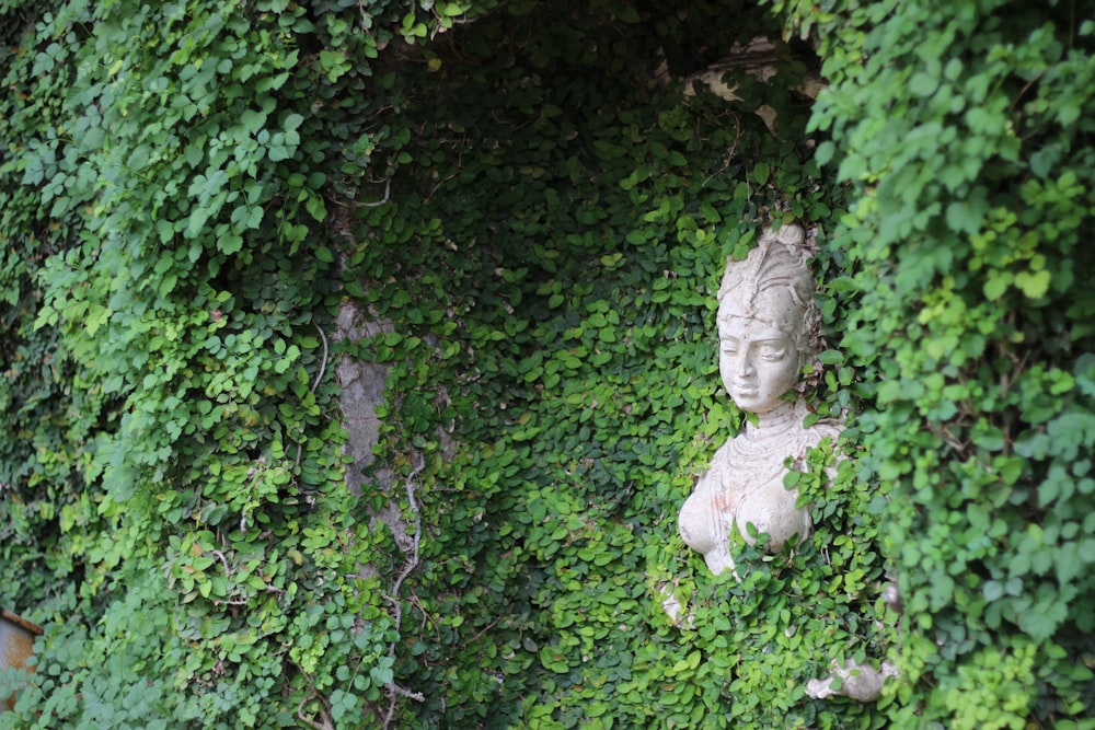 white statue of woman beside green plant