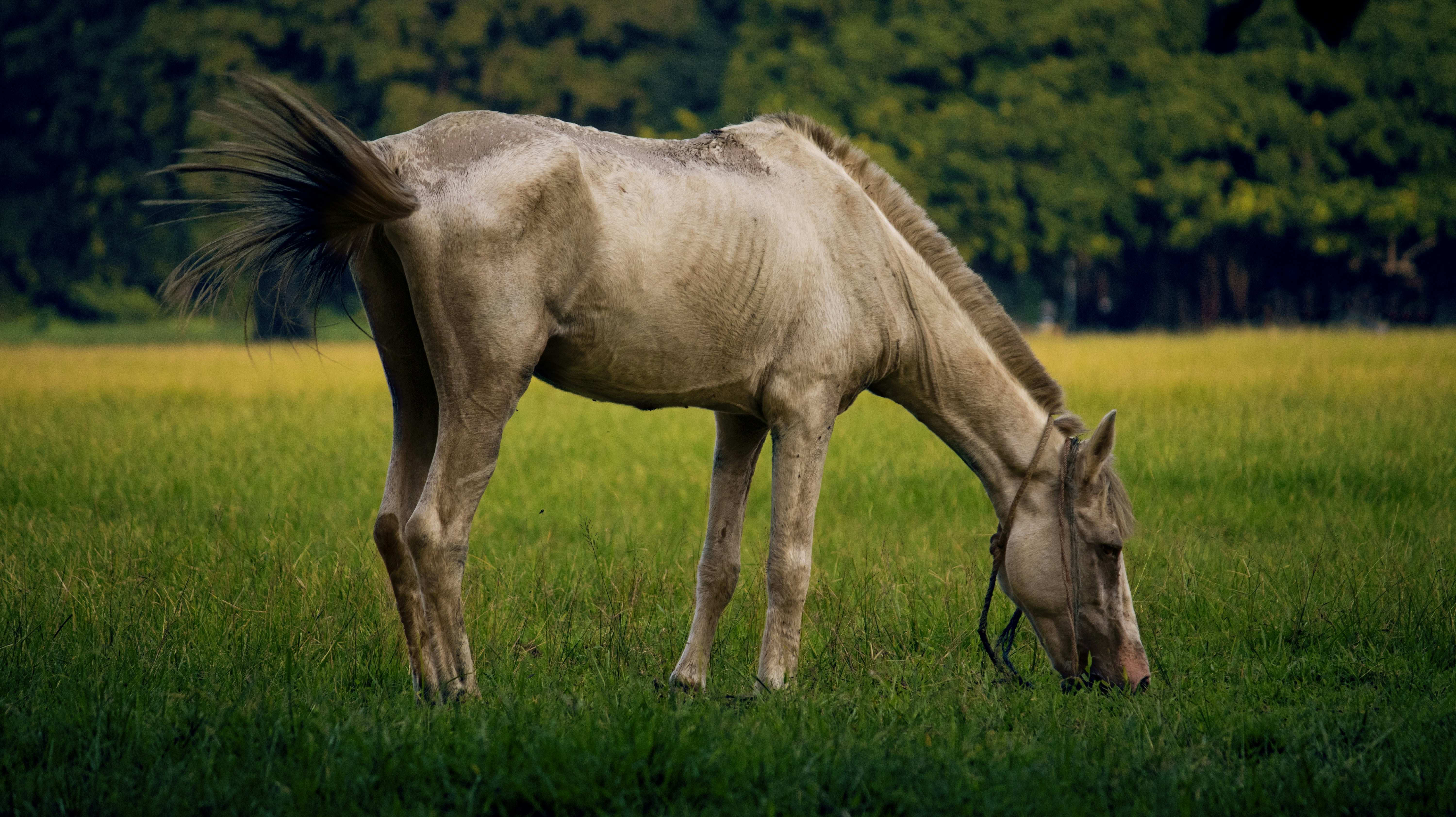 Photo by noire_photos