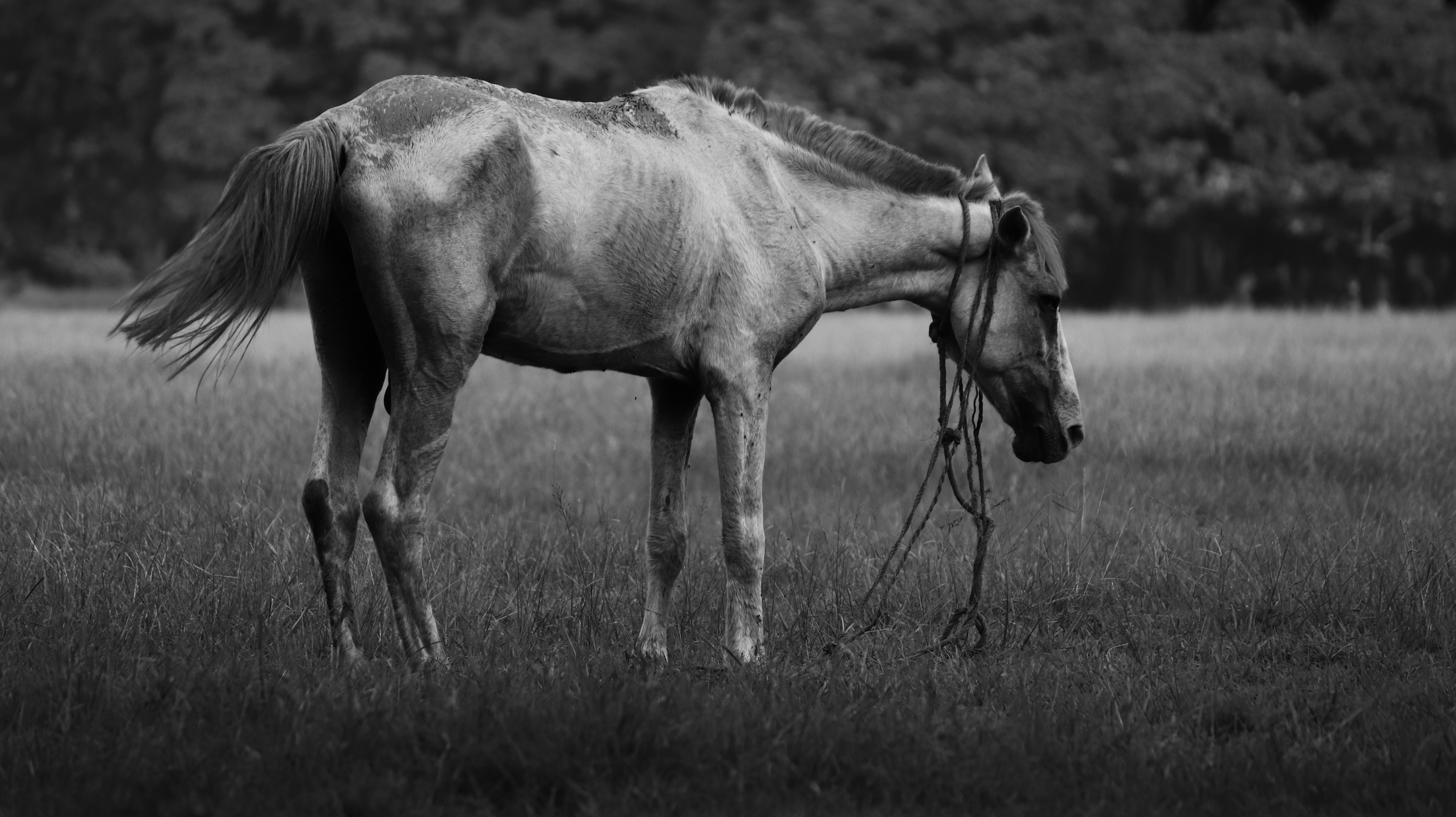 Photo by noire_photos