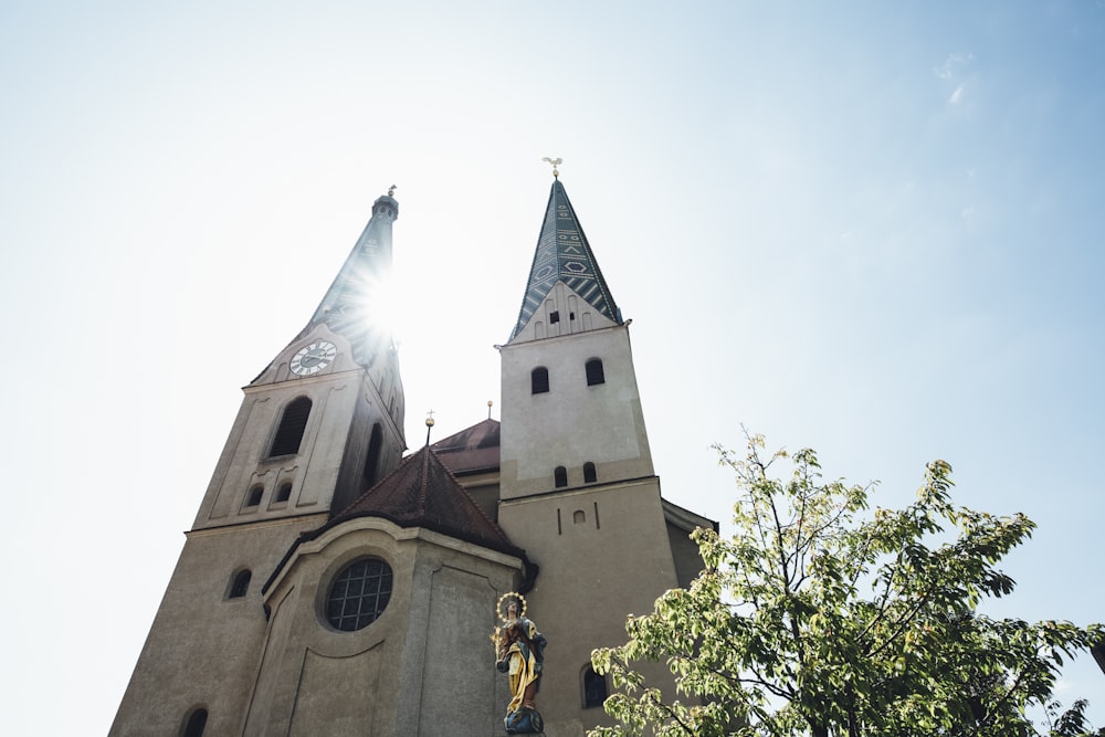 brown cathedral photograph