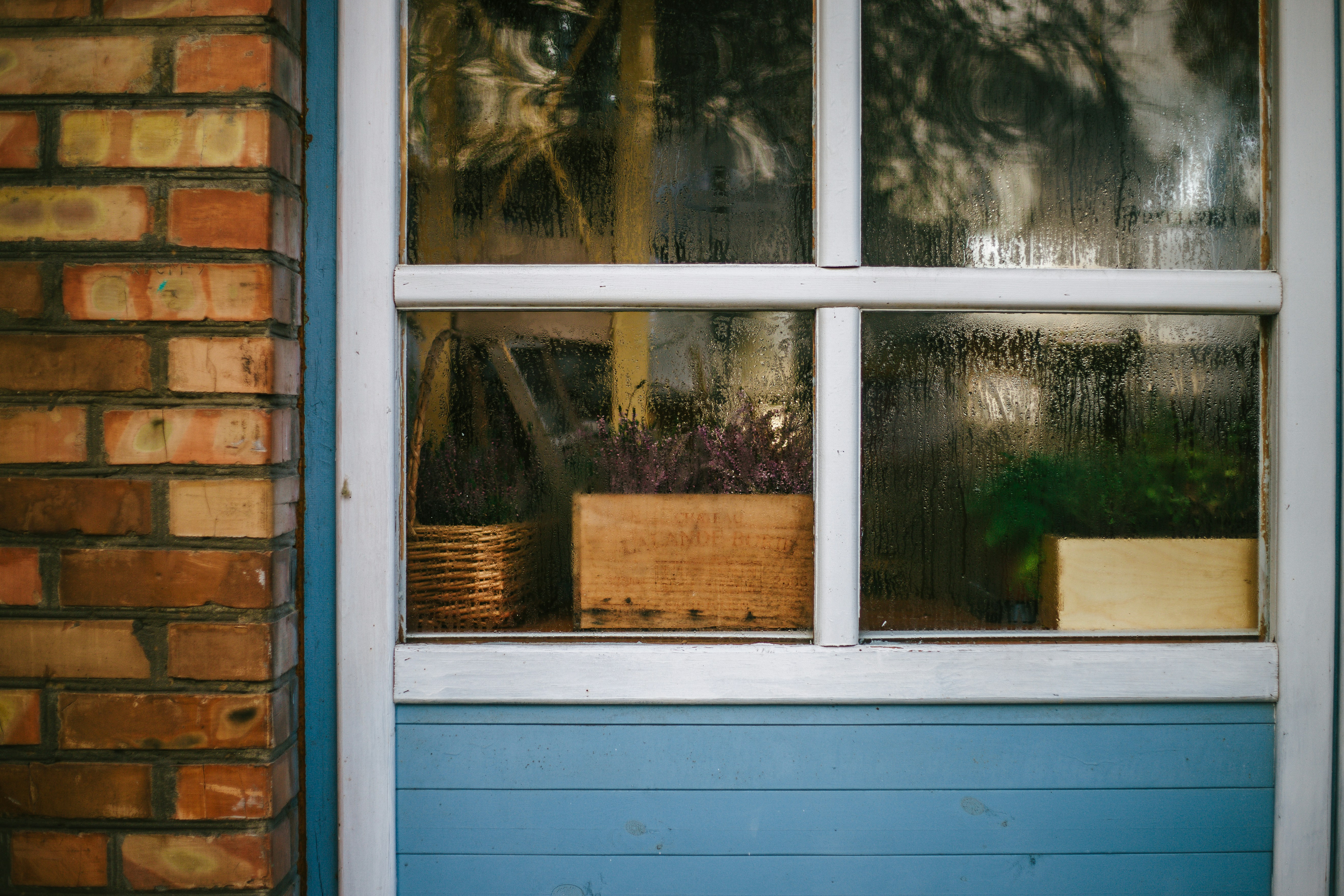 Photo by andrewpetrischev