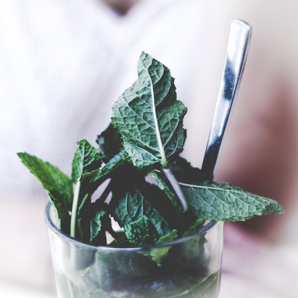 Green-leafed plant