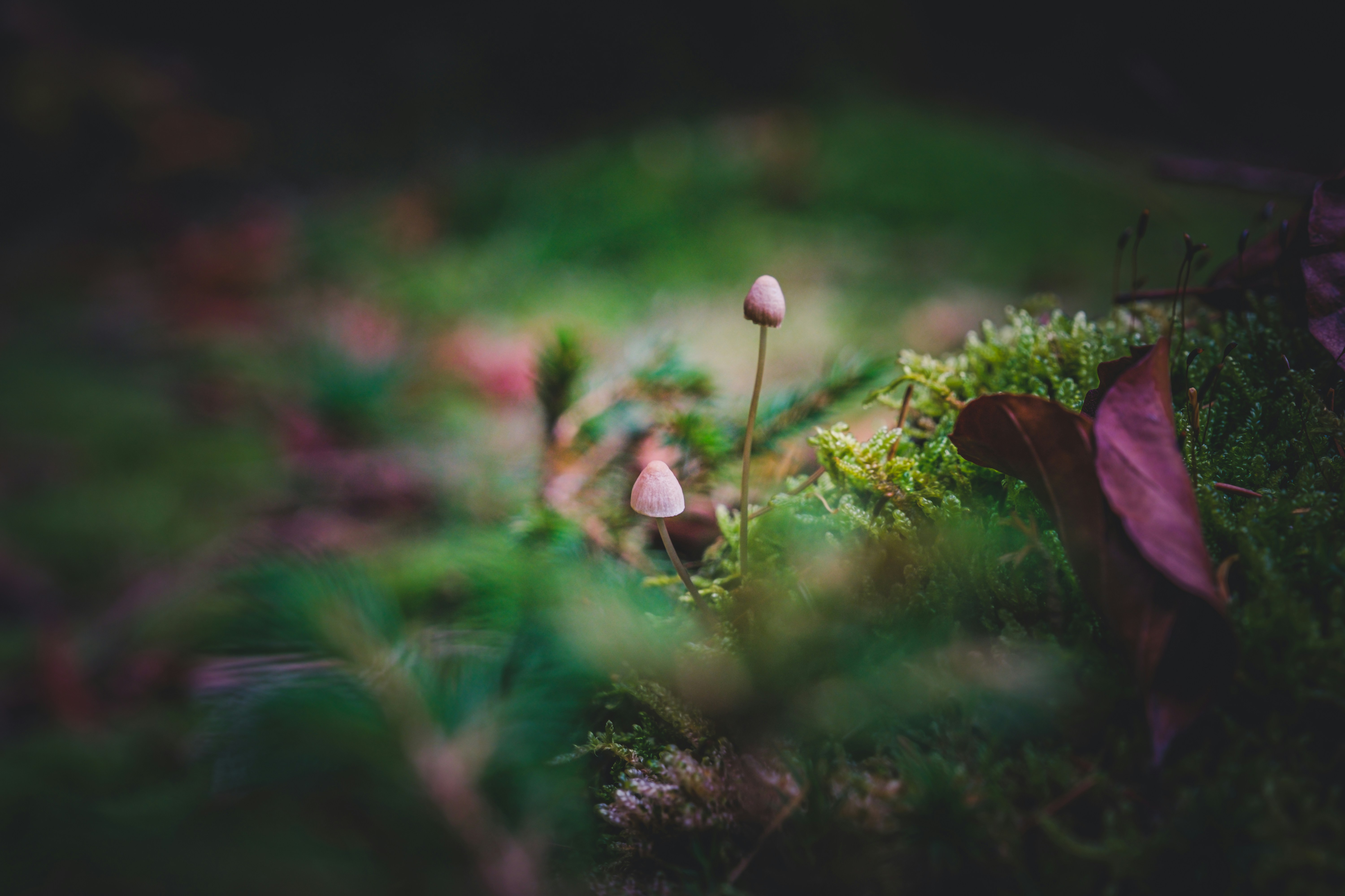 Photo by g_r_a_f_i_s_c_h