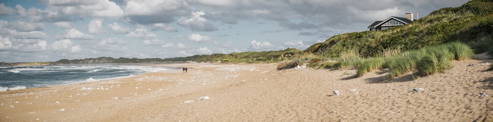 seashore under cloudy sky