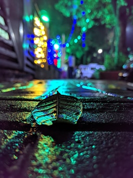 green leaf on ground