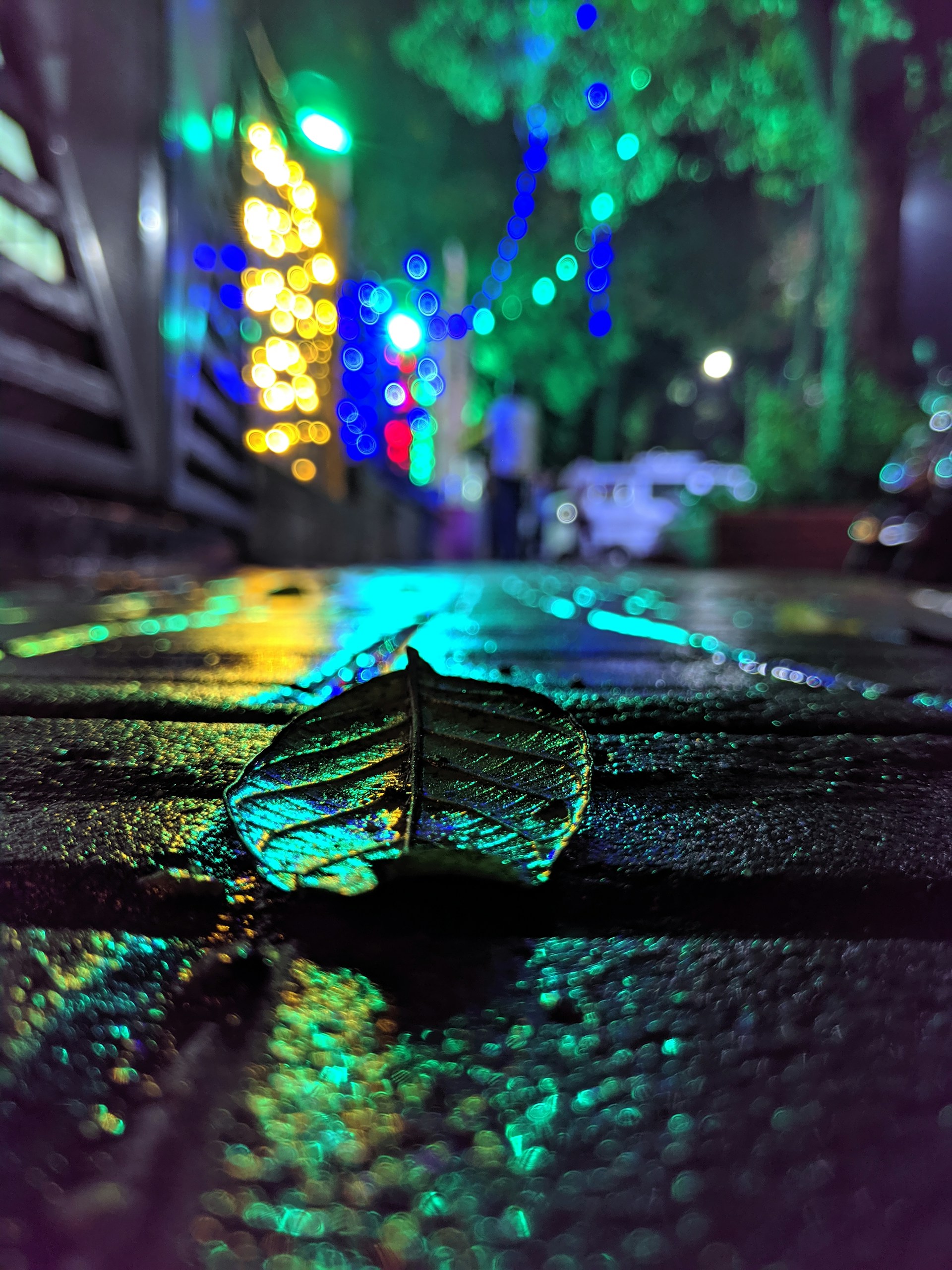 green leaf on ground