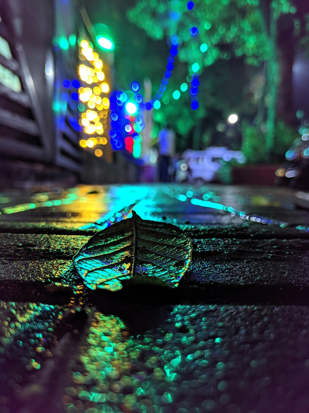 green leaf on ground