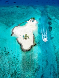 A VIP helicopter landing on a remote island surrounded by turquoise sea