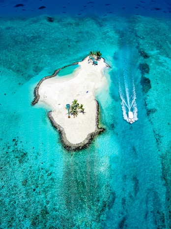 An aerial view of a small, secluded tropical island surrounded by a turquoise ocean. The island is lined with palm trees and has a sandy beach with clear waters encircling it. A speedboat is seen making a trail through the water, heading towards the island.