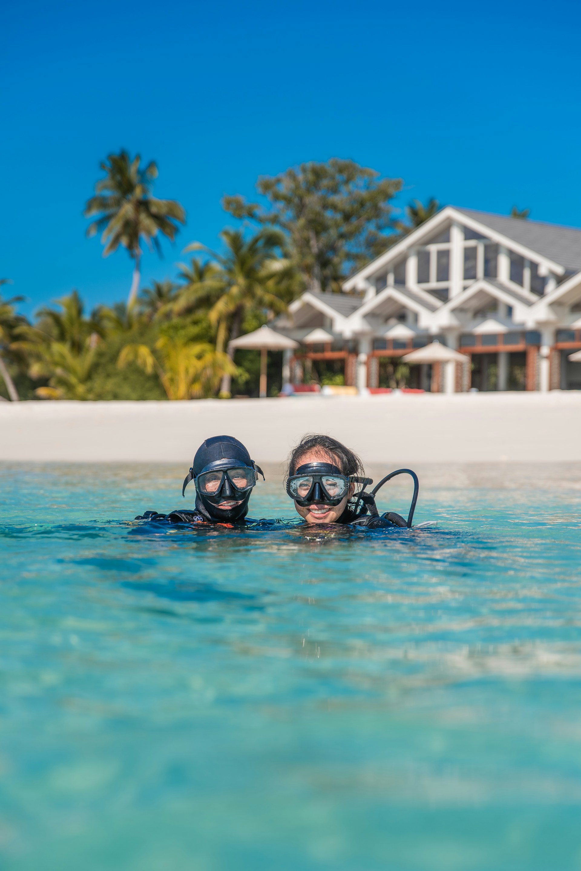 two person diving on sea