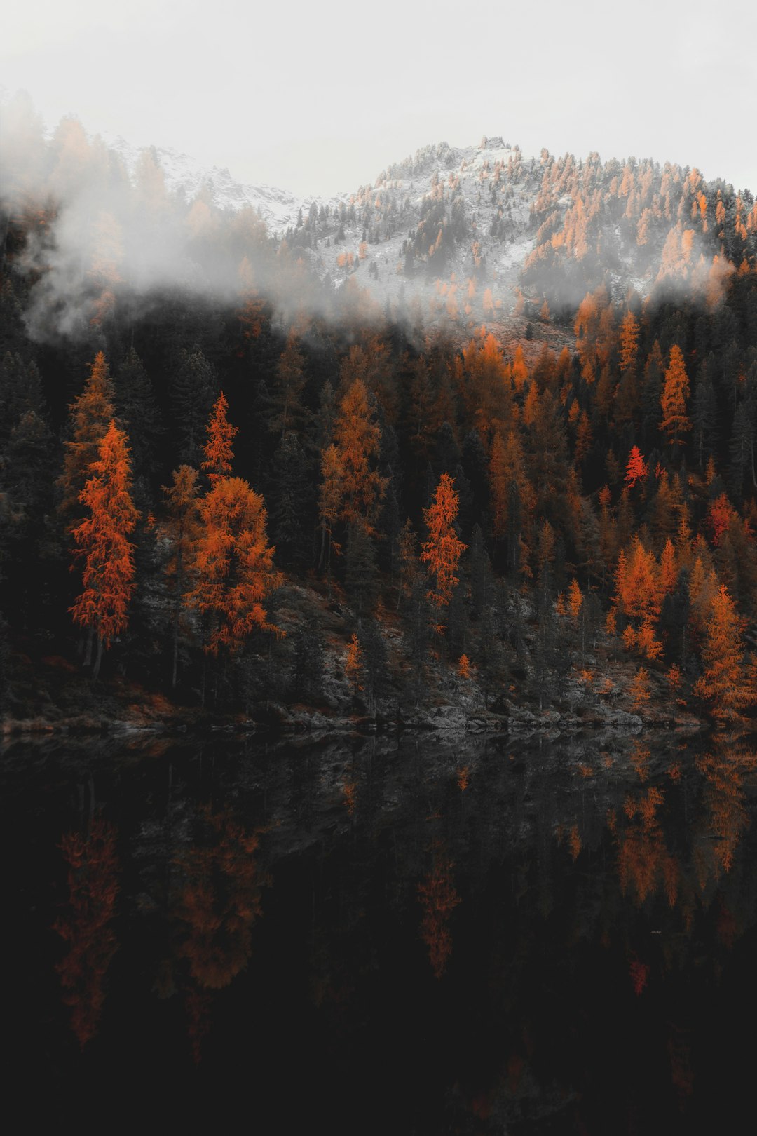 aerial photography of body of water surrounded with orange trees in foggy day