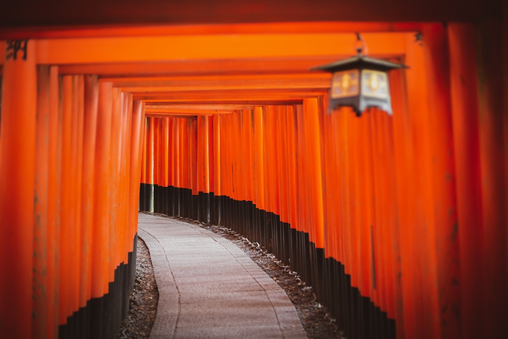 gray pathway in Shinto shrine