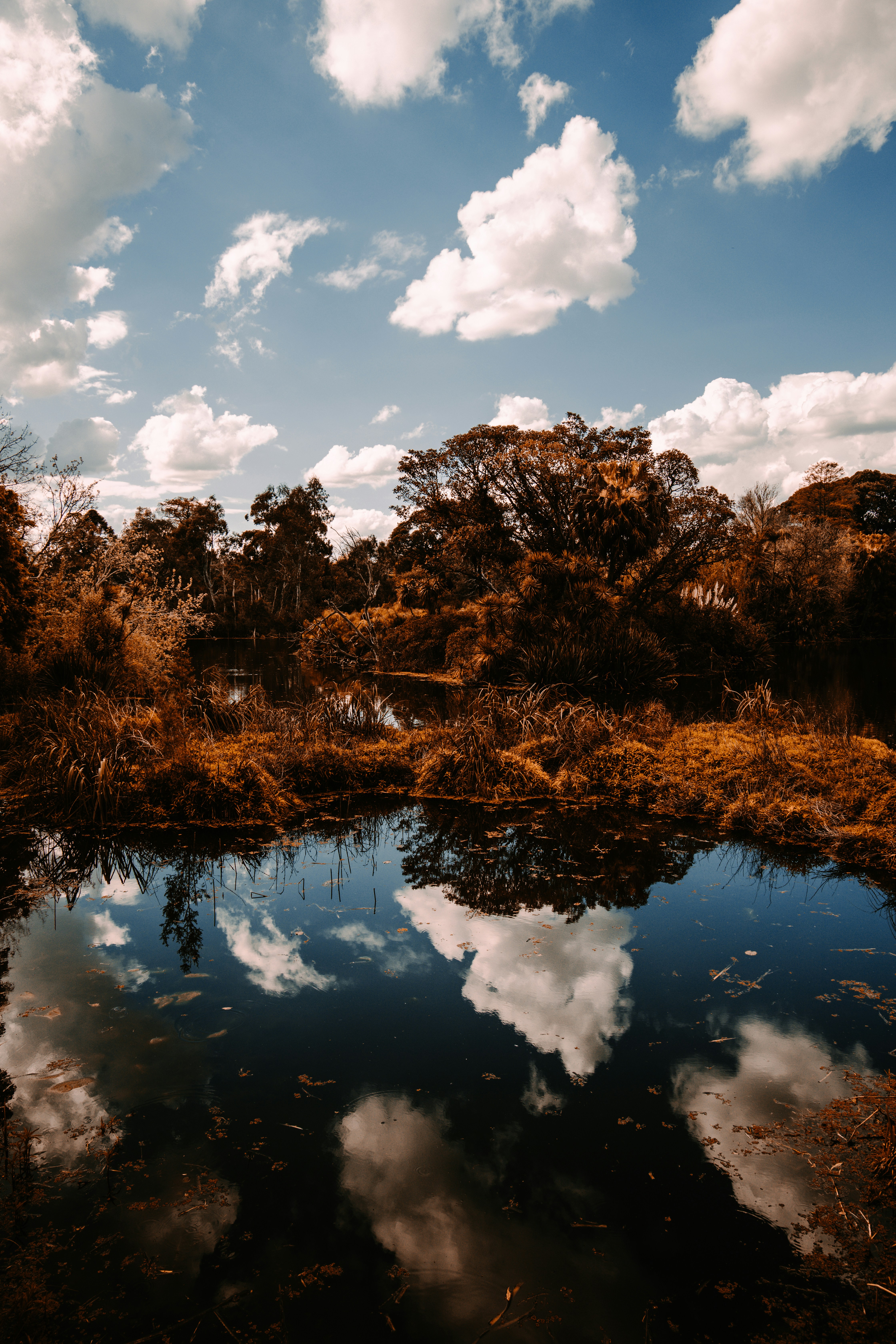 Photo by kellyirenee