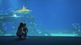 ocean water park