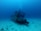 A sunken shipwreck lies on the ocean floor surrounded by clear blue water. The ship is covered in marine life and coral, with a variety of fish swimming around it. Light filters from above, casting a serene atmosphere over the scene.
