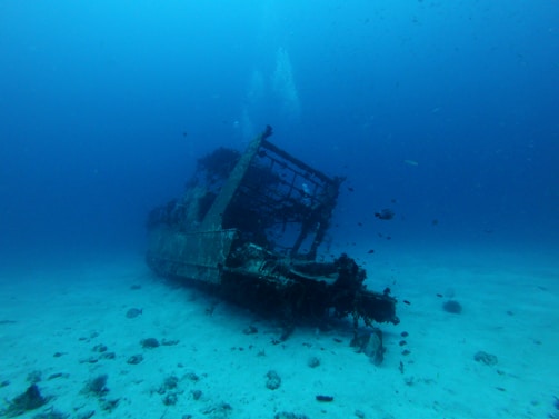 A sunken boat resting on the seabed, surrounded by marine life and documented by divers.